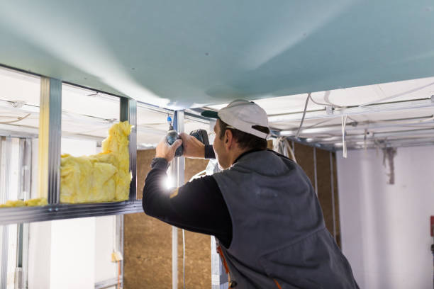 Insulation Contractors for Homes